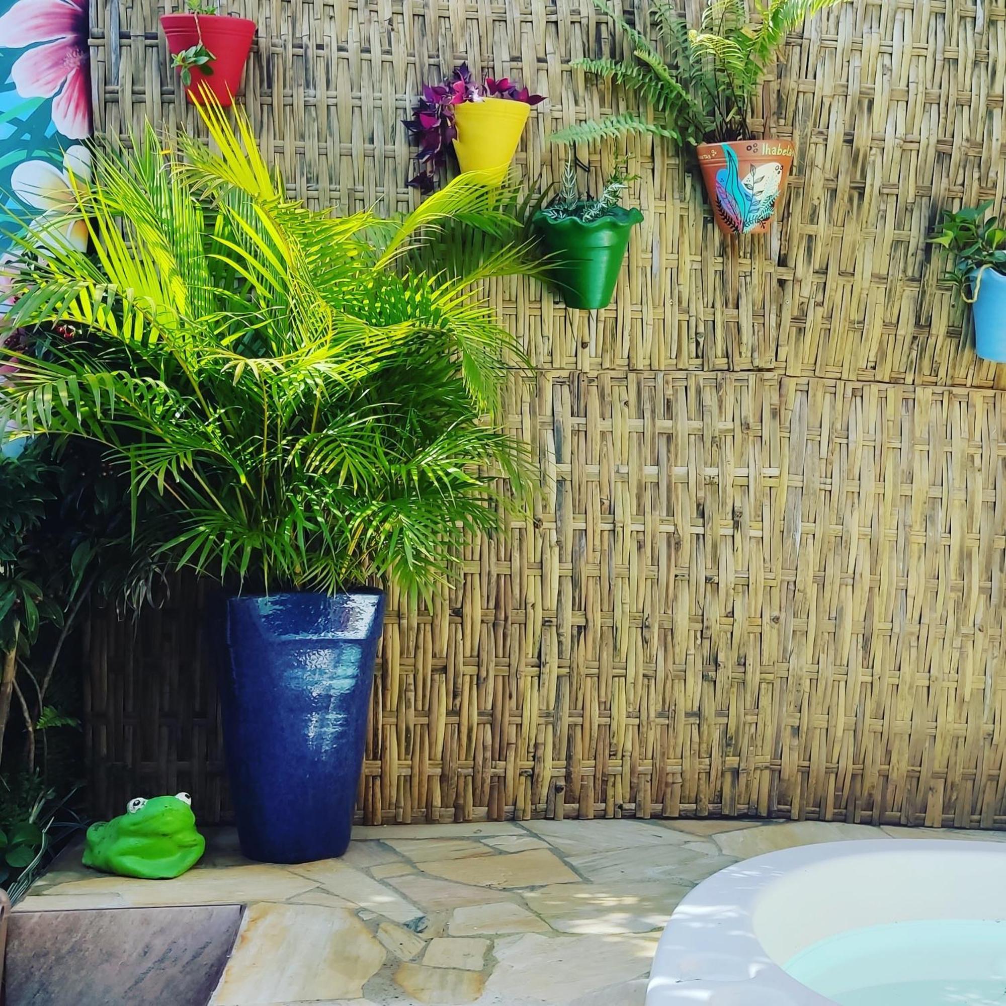 Recanto Toca Das Plantas De Ilhabela II المظهر الخارجي الصورة