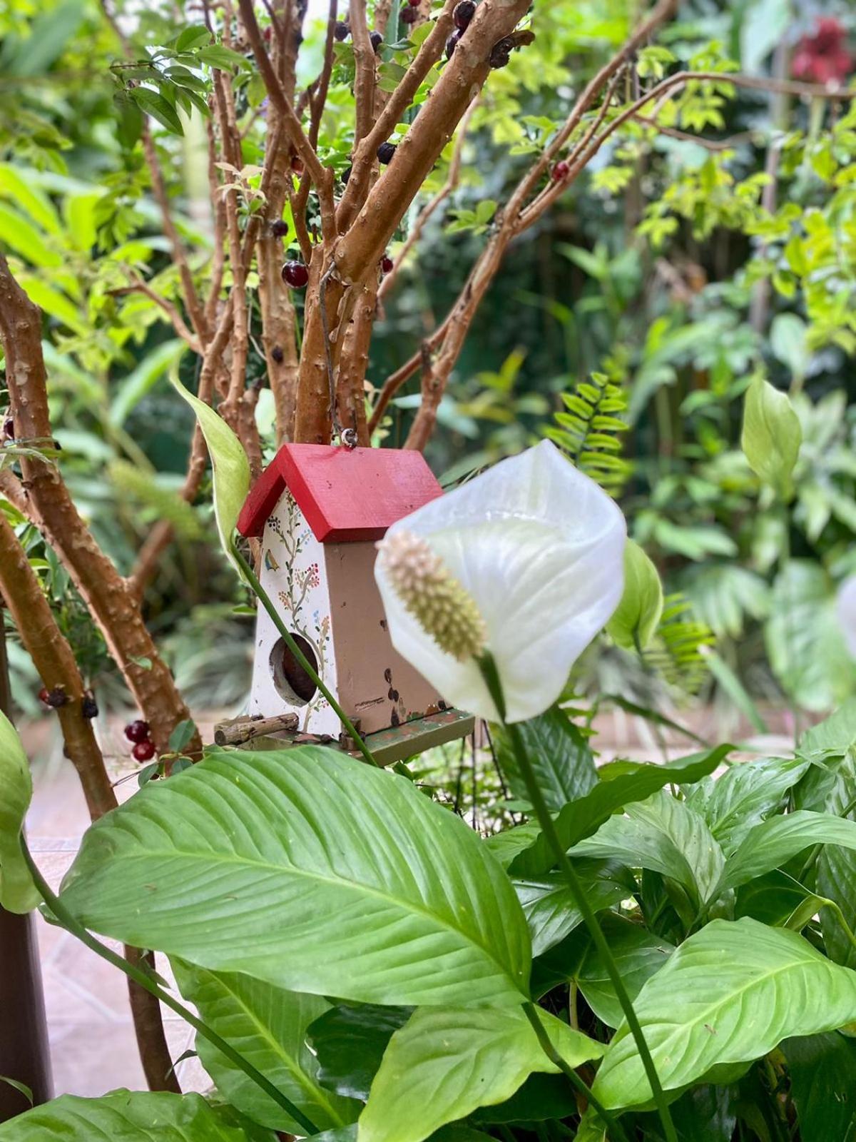 Recanto Toca Das Plantas De Ilhabela II الغرفة الصورة